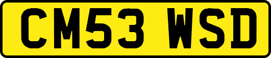 CM53WSD