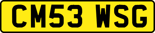 CM53WSG