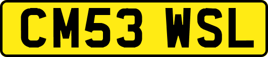 CM53WSL