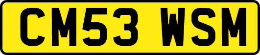 CM53WSM