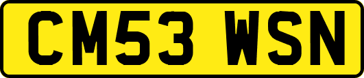 CM53WSN