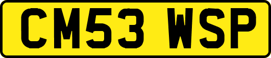 CM53WSP