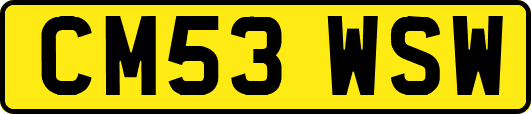 CM53WSW
