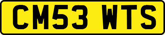 CM53WTS