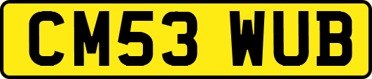 CM53WUB