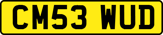 CM53WUD