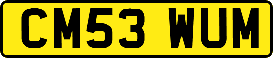 CM53WUM