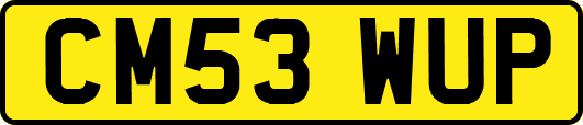 CM53WUP