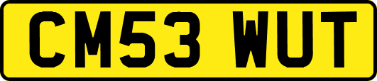 CM53WUT