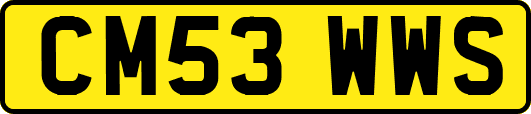 CM53WWS