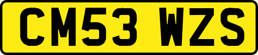 CM53WZS