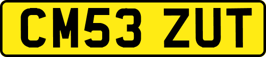 CM53ZUT