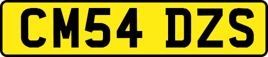 CM54DZS