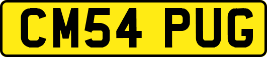 CM54PUG