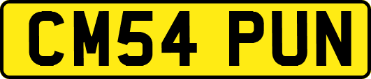 CM54PUN