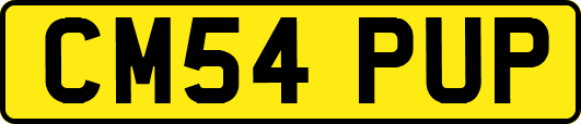 CM54PUP