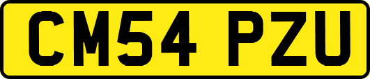 CM54PZU