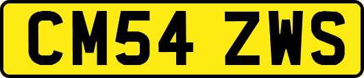 CM54ZWS