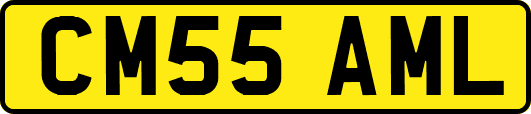 CM55AML