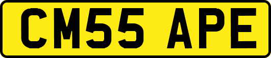 CM55APE
