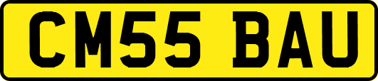 CM55BAU