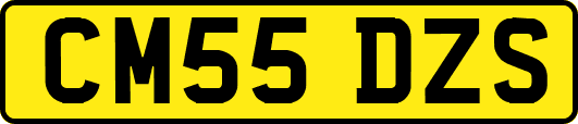 CM55DZS