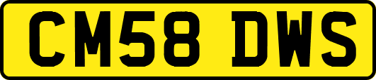 CM58DWS