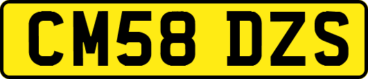 CM58DZS