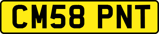 CM58PNT