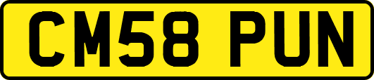 CM58PUN