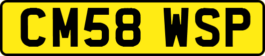 CM58WSP