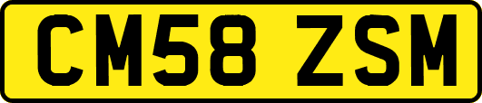 CM58ZSM