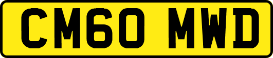 CM60MWD