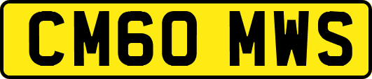 CM60MWS