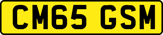 CM65GSM