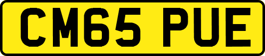 CM65PUE