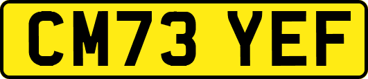 CM73YEF