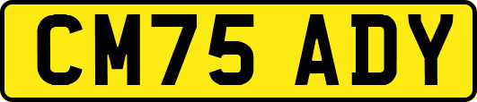 CM75ADY