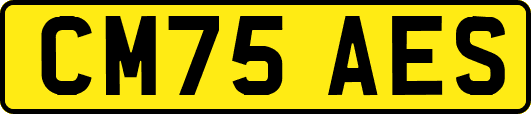 CM75AES