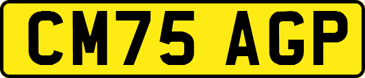 CM75AGP
