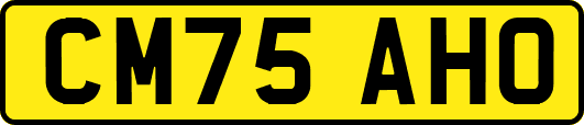 CM75AHO