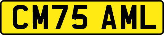 CM75AML