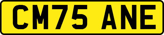 CM75ANE