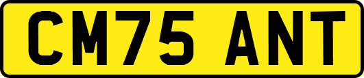CM75ANT