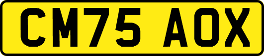 CM75AOX