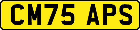 CM75APS