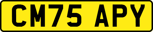CM75APY