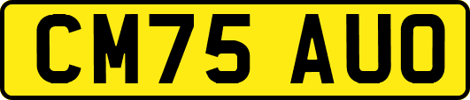 CM75AUO