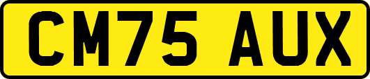 CM75AUX