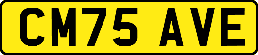 CM75AVE